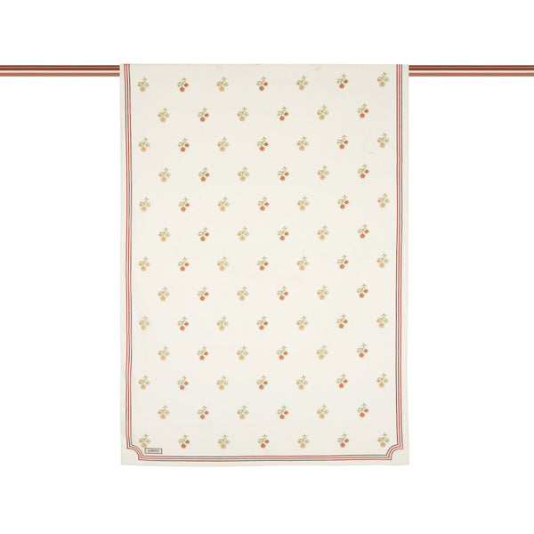 Krem Nostaljik Duvar Pamuk Şal